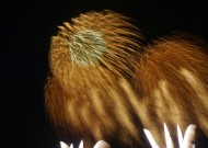 Sample Photo 05