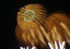 Sample Photo 05